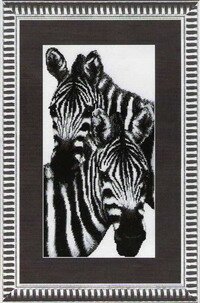ChM Zebras
