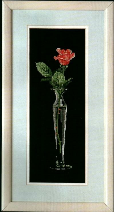  A Single Rose