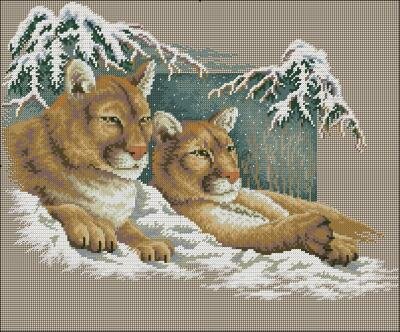 Snowy cougars