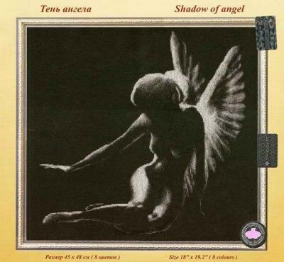 ZR Shadow of angel